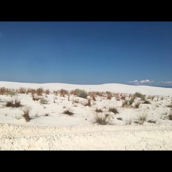 Meet your Posher, Laura - Picture 1 of 1